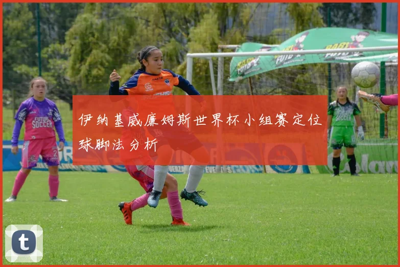 伊纳基威廉姆斯世界杯小组赛定位球脚法分析