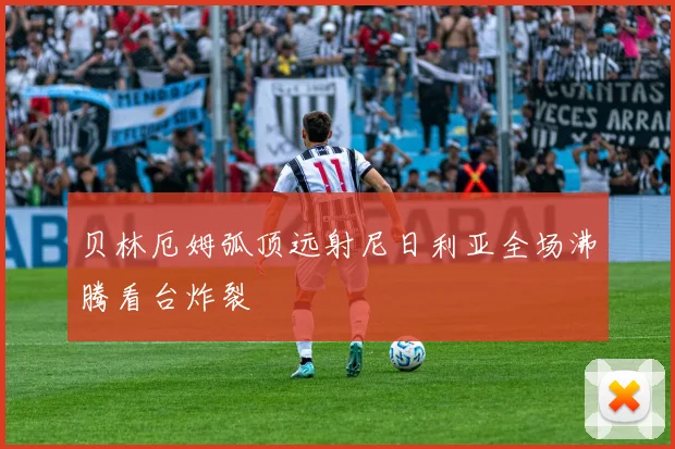 贝林厄姆弧顶远射尼日利亚全场沸腾看台炸裂