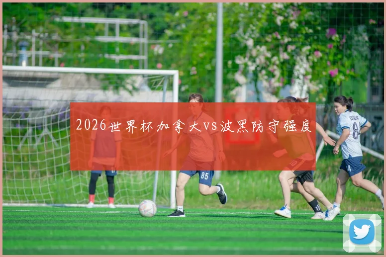 2026世界杯加拿大vs波黑防守强度
