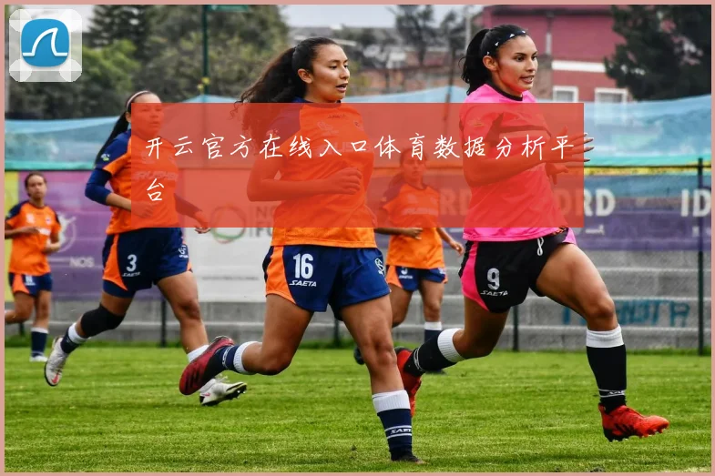 开云官方在线入口体育数据分析平台