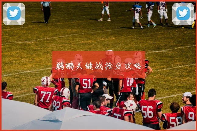 鹈鹕关键战抢分攻略