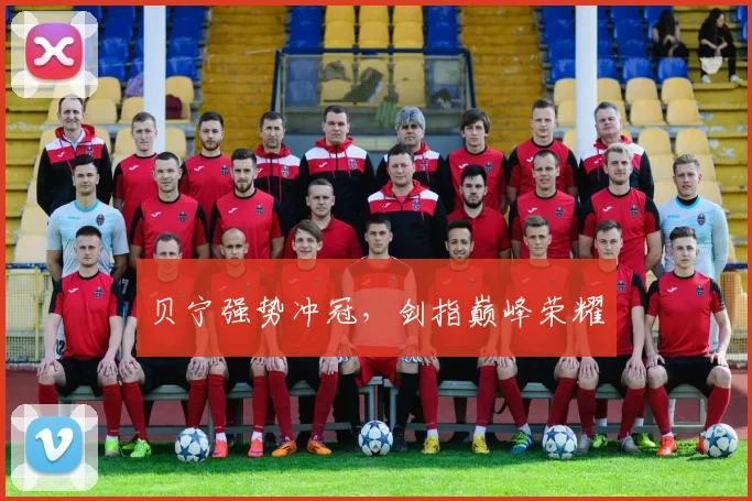 贝宁强势冲冠，剑指巅峰荣耀