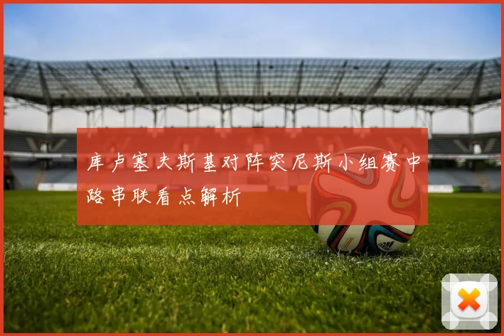 库卢塞夫斯基对阵突尼斯小组赛中路串联看点解析