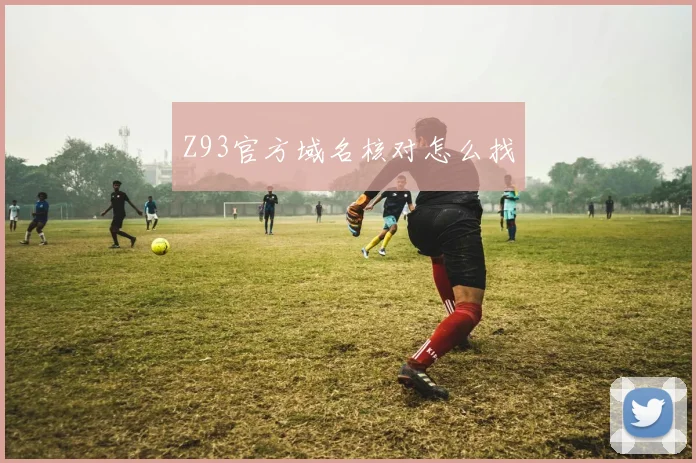 Z93官方域名核对怎么找