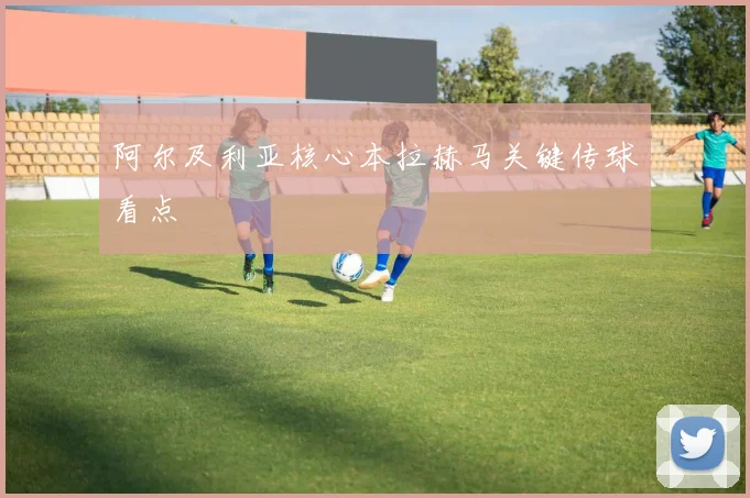阿尔及利亚核心本拉赫马关键传球看点