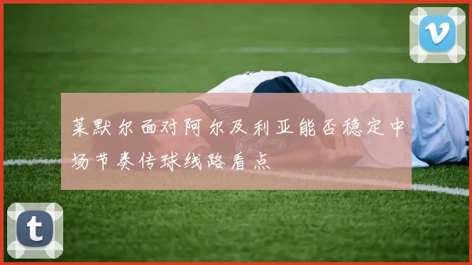 莱默尔面对阿尔及利亚能否稳定中场节奏传球线路看点