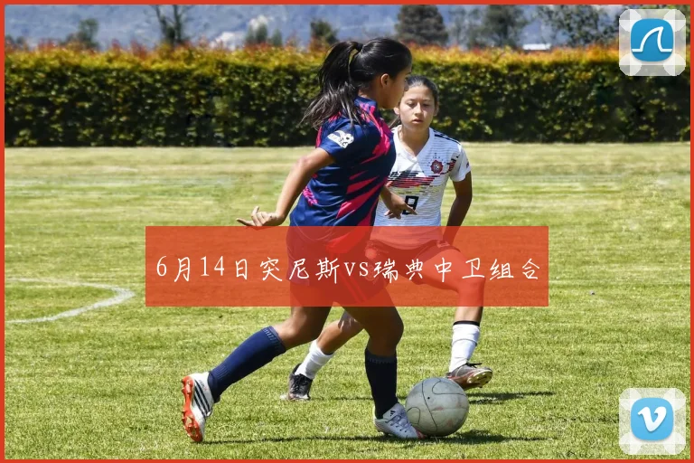 6月14日突尼斯vs瑞典中卫组合